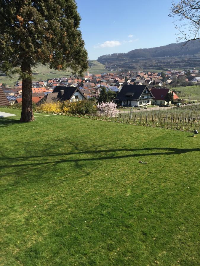 Koepfers Steinbuck Hotel Bischoffingen Eksteriør billede